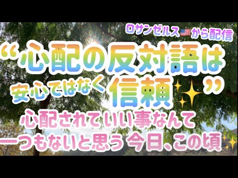藤井風 心配の反対は信頼 心配せずにどこまでも風さんとチーム風を信じて応援していこう まずは 自分を信頼する事から始めよう Youtube