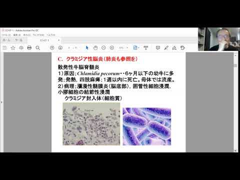 動物感染症11回ウシ細菌ほか edit