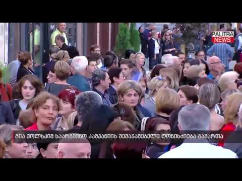 გია ვოლსკიმ საარჩევნო კამპანიის შემაჯამებელი ღონისძიება გამართა