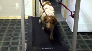 VID-20101122-00004