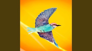 Scintillating Ambience for Chilly January