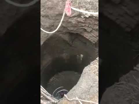 حصري إكتشاف اهم و أحدث مقبره بطلميه