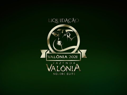 Lote 15   Samma FIV da Valônia   JAA 7024 Copy