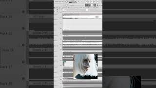 t.me/monriseraw #flstudio #beats #music #mylancore #shorts