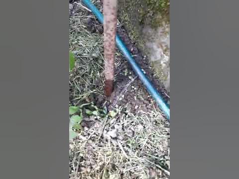 Капельный полив из бочки. - YouTube