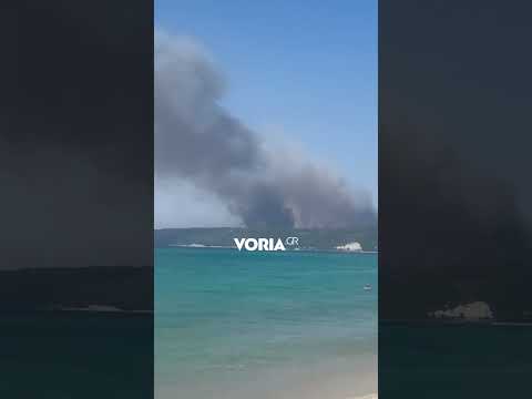 Χαλκιδική: Φωτιά στη Σίβηρη