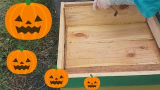 Mysvit Закриття Сезону Bee