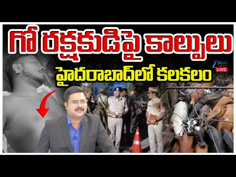 LIVE: Gau Raksha Incident | Hyderabad | గో రక్షకుడిపై కాల్పు*లు హైదరాబాద్ లో కలకలం | ZEE Telugu - ZEE24TELUGUNEWS