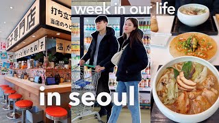 seoul vlog 🍜 korean grocery store tour \& expensive fruit 🍎🛒 scary culture shock, japanese udon
