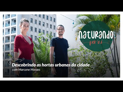 Vídeo: Haverá Um Superpark, Ou Uma Cidade Vs Uma Horta