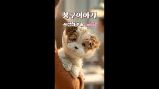 봉구이야기11 #강아지 #애견영상 #puppy #강아지중성화 #ai강아지