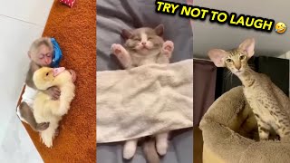 Funny Cats and Dogs Try Not To Laugh ?