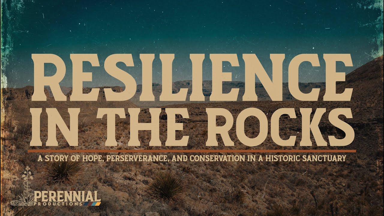 RESILIENCE IN THE ROCKS - YouTube