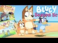 Predictions for BLUEY SEASON 3c Episodes (Reaction to new images, wedding details, release date)