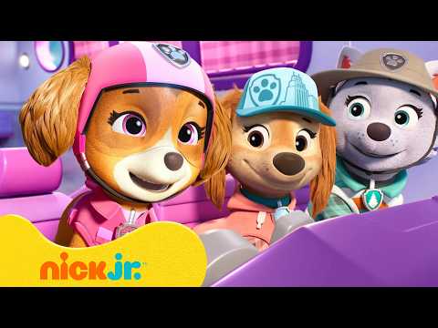 Psi Patrol | Skye, Everest i Liberty są najlepszymi przyjaciółkami! #2💖 | 90 minut | Nick Jr. Polska