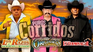 Los Razos, Los Originales de San Juan Y Grupo Exterminador  Puros Corridos y Rancheras  Mix 2024