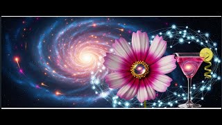 From Algorithms to Asteroids How AI Interprets the Cosmos
