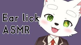 【Furry ASMR】久しぶりにみんなの耳を舐め回す配信。【ケモノ系VTuber】【Ear licking/mouth sound and more/JP/EN】