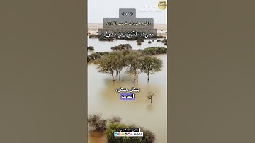 معنى:(كَأَنَّهُنَّ بَيضٌ مَكنونٌ)٤٥-شرح مفردات غريب القرآن،سورة الصافات،الشيخ خالد الحرمي.