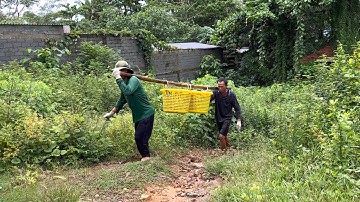 Lưới cá đục | một ngày mới của anh em hoàng tiếp tục trúng cá | hoàng Phú quốc