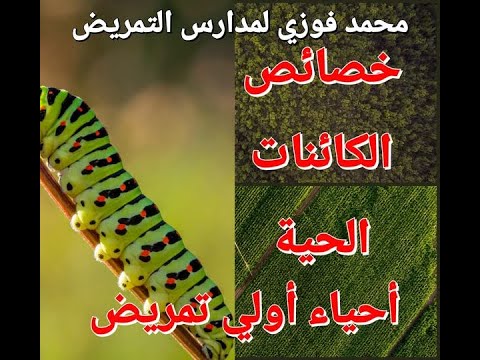 اولي تمريض علم الاحياء وخصائص الكائنات الحية