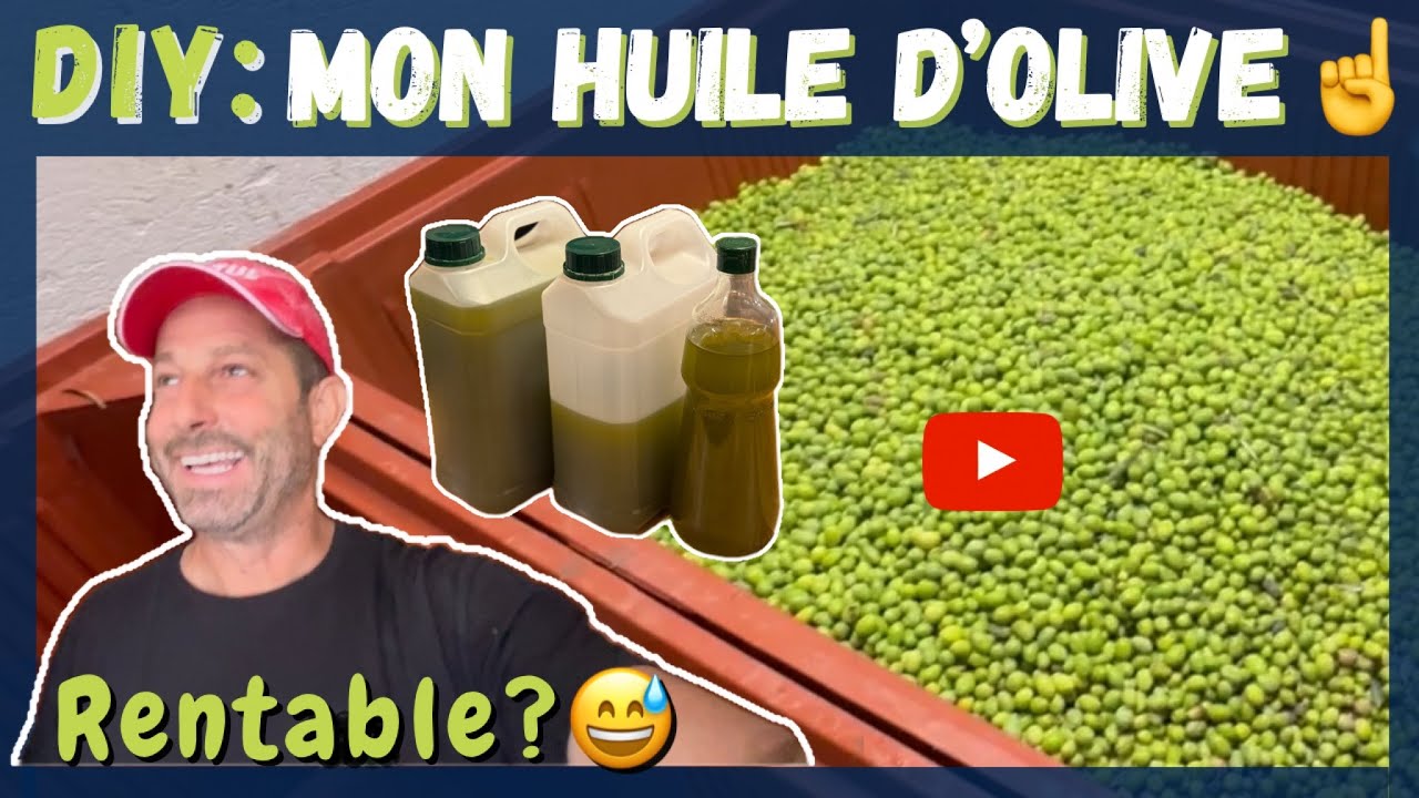 Rentable de ramasser des Olives ? 🧐