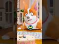 doggy ka happy birthday😂#shorts #funny #trending #viral