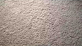 How to Get Pet Urine Smell Out Of Carpet - YouTube
