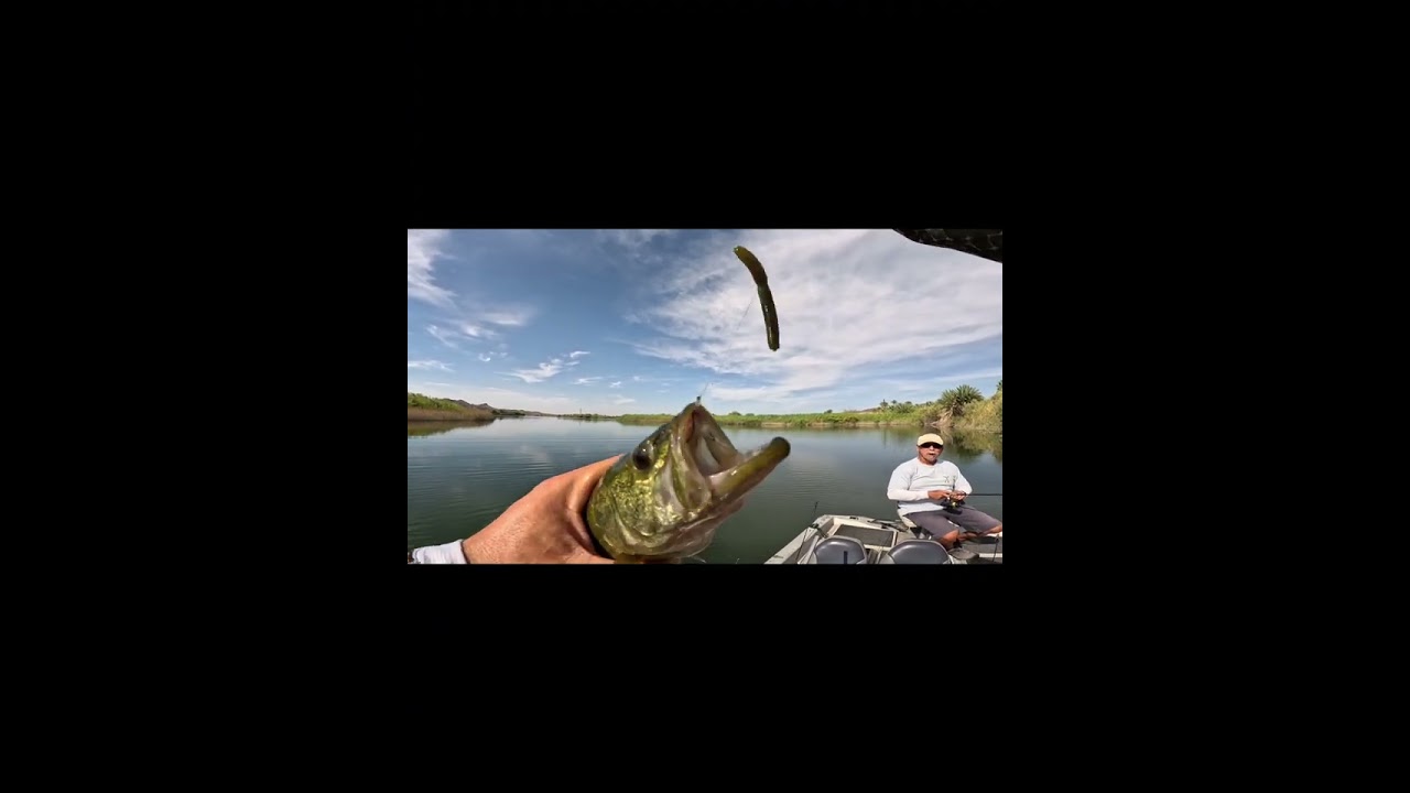 Bass Fishing W/Miguel Rivas & Guest Dave Episode 32