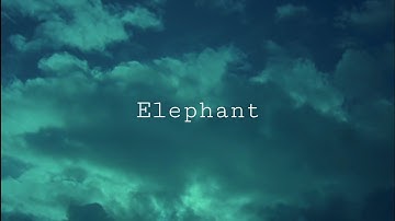 Elephant (2003): Edit