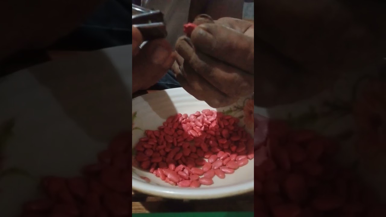 Gani to Ang Gawin natin para madaling tutubo Ang buto