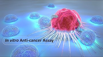 In vitro Anti cancer Assay: Dr. Bhushan P Pimple