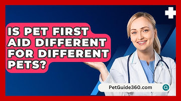 Is Pet First Aid Different For Different Pets? - PetGuide360.com