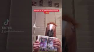 My Pokémon Card Collection!