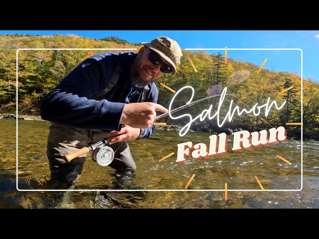 Fishing for ATLANTIC SALMON on the SPEY ROD - The Fall Chase