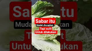 Sabarlah#motivasi #quotes #motivasidiri #katakatabijak