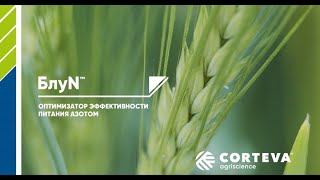 БлуN™ – инновационный биологический продукт.