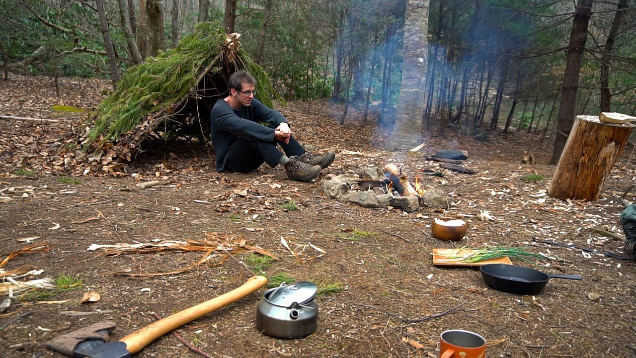 Solo Bushcraft: Building a survival shelter camp, foraging and cooking ...