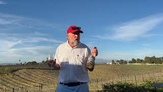 VINO MD Weekend Wine Notes: Review of Domaine Chardonnay in Temecula, CA