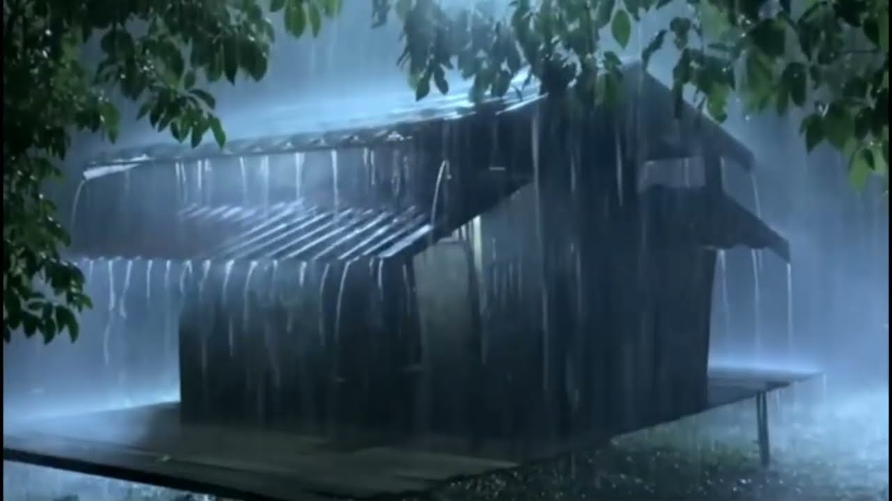 10 Hours of Cozy Forest Cabin Rain Sounds for Deep Sleep & Relaxation | Heavy Rain Ambience0