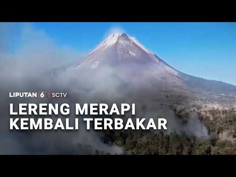 Lereng Merapi Kembali Terbakar | Liputan6