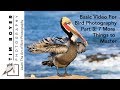 Basic Video For Bird Photography Part 3: 7 More Things To Master