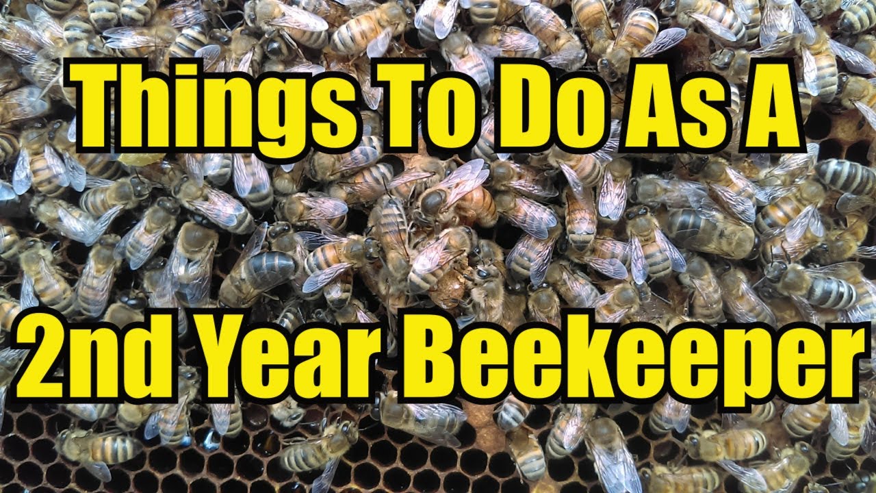 All The Stuff. Let's talk about Bee Equipment! – Two Hives Honey