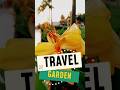 TRAVEL GARDEN #travel #ahorts  #minivlog