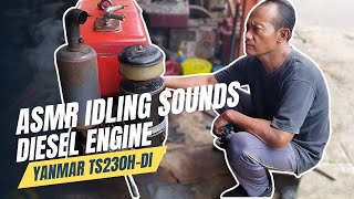 ASMR IDLING SOUNDS Original Diesel Engine Yanmar TS230H-DI