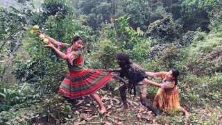 Primitive Life - Two Ethnic Girls Picking Pears In The Forest - Meet Forest People