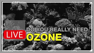 Ozone & Reef Tanks: Its Like Running Carbon 24/7, but the Best Way to Implement Is Still Not Clear.