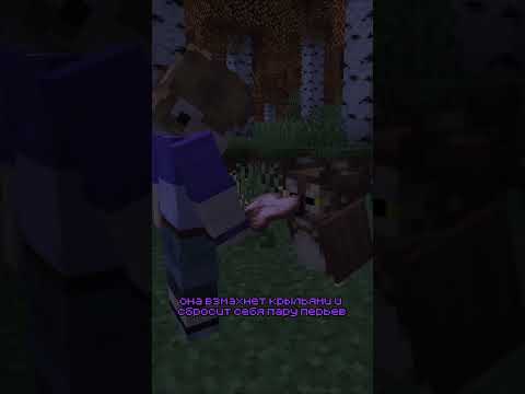 Видео: Совы в майнкрафте! #minecraft #minecraftshorts #майнкрафт #bloomy