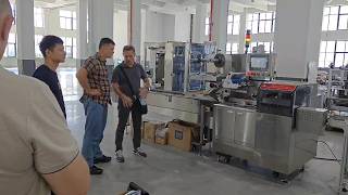 Pillow Packing Machine & Cartoning Machine | Integrated Packaging Line FAT Acceptance
