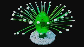 Empty Plastic Bottle Vase Making Craft,Best out of waste,Bottle Recycle Flower Vase Art Decoration